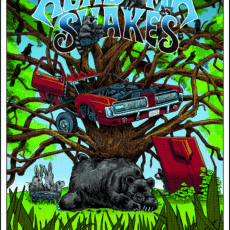 New ALABAMA SHAKES print by DOYLE! New ALABAMA SHAKES print by DOYLE!